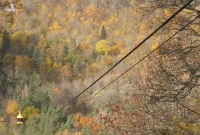 Gauja keltuvas