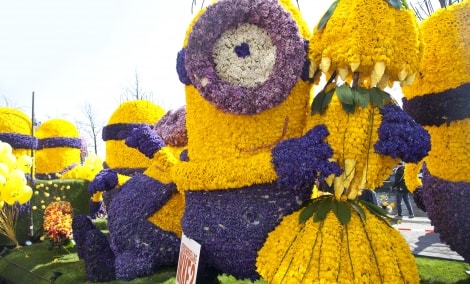 geles minion 6490