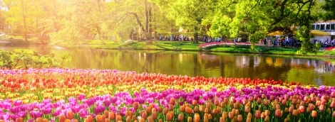 Keukenhof parkas