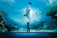Genoa Aquarium