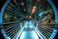 Genoa Aquarium2