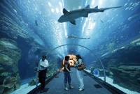 Genoa Aquarium3