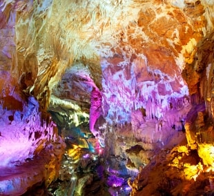gibraltaras urvas 9841