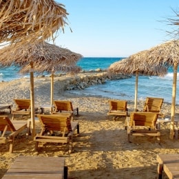 GOLDEN COAST FAMILY RESORT papludimys