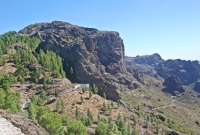 Serpantinai 3524