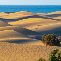 gran kanarija Maspalomas