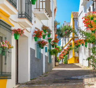 malaga2