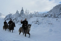 svanai