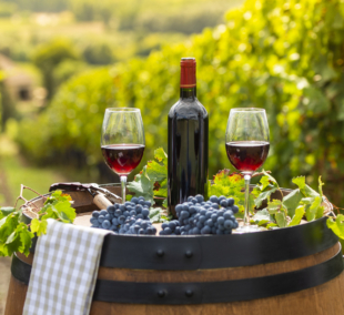 vyno degustacija maltoje