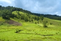 Alta Verapaz