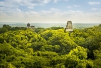 tikal gvatemala