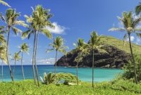havajai makapuu 6526