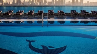 hilton sharjah baseinas 13143