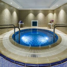 HOLIDAY INTERNATIONAL HOTEL SHARJAH sukurine vonia