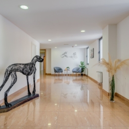 Hotel Pax, bendra erdvė