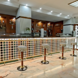 Hotel Porcel Alixares6