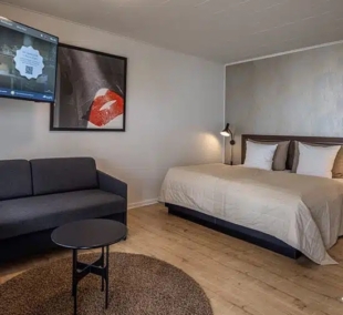 Hotel Svanen standart