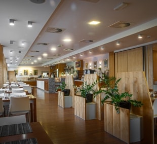 Hotel Vist restoranas