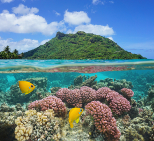 huahine3