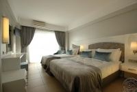 ideal premium2