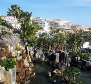 igle bernotaityte tenerifeje pavasaris 10085