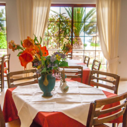 Iliessa beach hotel 5
