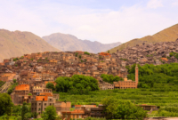 Pasiūlymo galerija 0