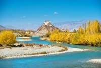 Pasiūlymo galerija 0