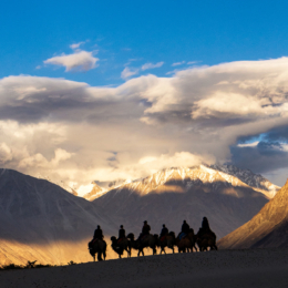 nubra