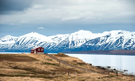 islandija ledas