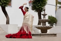 ispanija flamenko 15654
