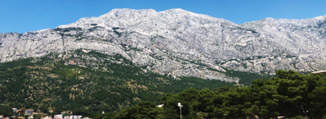 kroatija papludimys