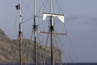 madeira Išvyka laivu ir delfinų stebėjimas