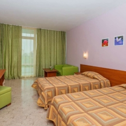ivana palace4