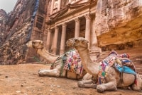 petra kupranugariai 10185