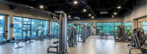 Jacaranda Luxury sporto sale