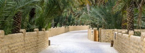 al ain oasis