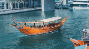 abra cruise