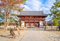 japonija Todaiji  sventyklas