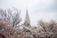 Shinjuku Gyoen parkas