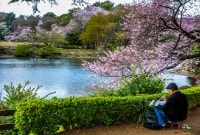 Shinjuku Gyoen vyras tapo