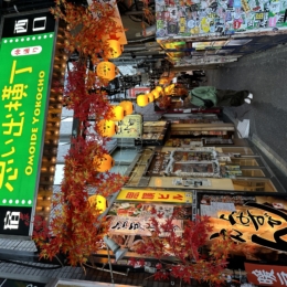 IMG 0064