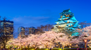 Osaka Castle in Spring
