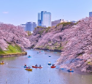 chidorigafuchi parkas 17165