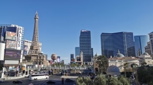 las vegasas