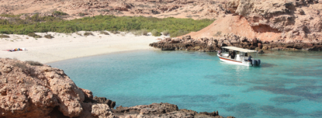Dimaniyat