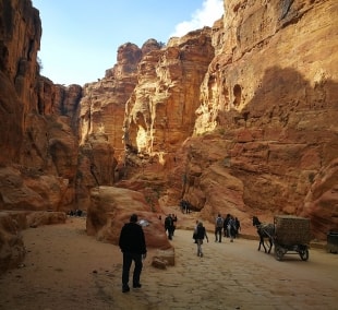 petra1 17434