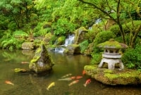 Japoniskas sodas
