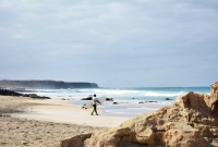 surf