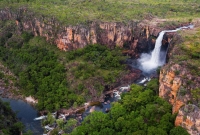 kakadu1